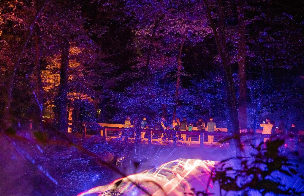 North Forest Lights at Crystal Bridges