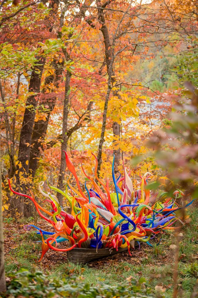 Boat with colorful glass sculptures in a wooded area, featuring swirling tentacle-like forms in the fall